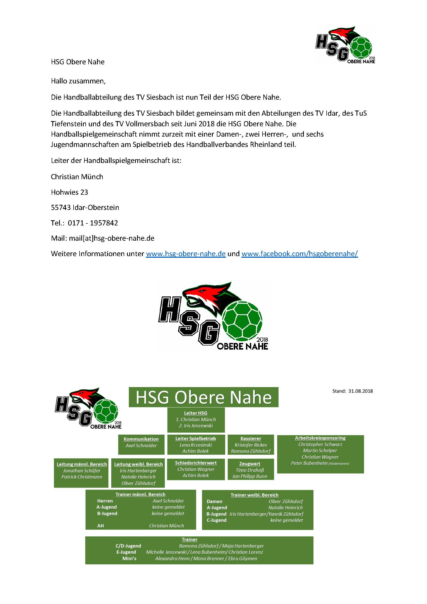 Neue Spielgemeinschaft Handball HSG Obere Nahe